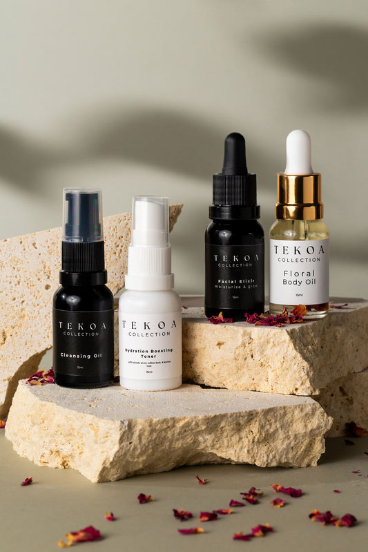 Discovery/Travel Set